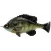 Savage Gear Pulse Tail Bluegill LB New Arrivals 1 Savage Gear Pulse Tail Bluegill LB New Arrivals