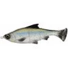Savage Gear Pulse Tail Shiner LB Lures