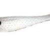 Tsunami Holographic Shad Bodies Lures