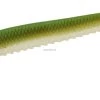 Hogy Sand Eel 7" (3pk) Dark Sand Eel New Arrivals 2 Hogy Sand Eel 7" (3pk) Dark Sand Eel New Arrivals