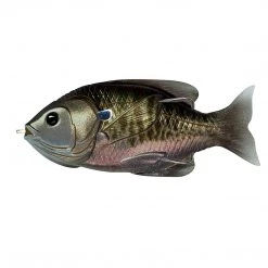 Live Target New Arrivals Livetarget Hollow Body Sunfish 11 Live Target New Arrivals Livetarget Hollow Body Sunfish