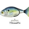 New Arrivals Lunkerhunt Prop Fish Shad 1 New Arrivals Lunkerhunt Prop Fish Shad