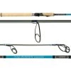 Shimano Talavera Inshore