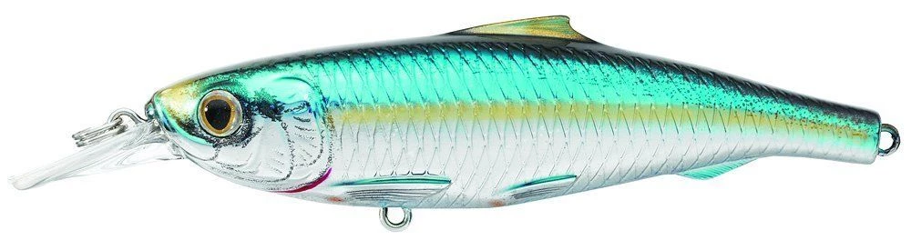 Live Target Spanish Sardine Jerkbait SPJ Saltwater Inshore Hard Plastic Baits Lures 3 Live Target Spanish Sardine Jerkbait SPJ Saltwater Inshore Hard Plastic Baits Lures