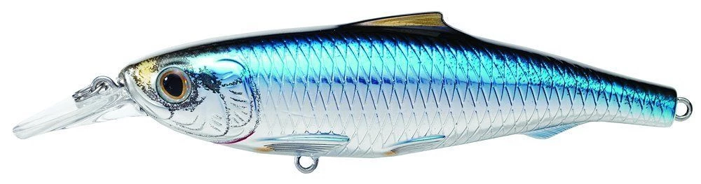 Live Target Spanish Sardine Jerkbait SPJ Saltwater Inshore Hard Plastic Baits Lures 4 Live Target Spanish Sardine Jerkbait SPJ Saltwater Inshore Hard Plastic Baits Lures