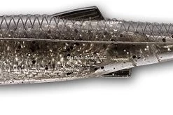 Live Target LiveTarget BaitBall Spinner Rig Interchange Pack