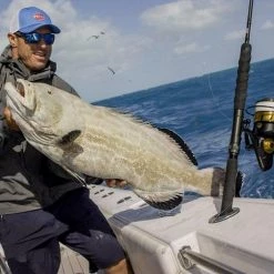 Penn Spinfisher VI Spinning Reels 41 Penn Spinfisher VI Spinning Reels