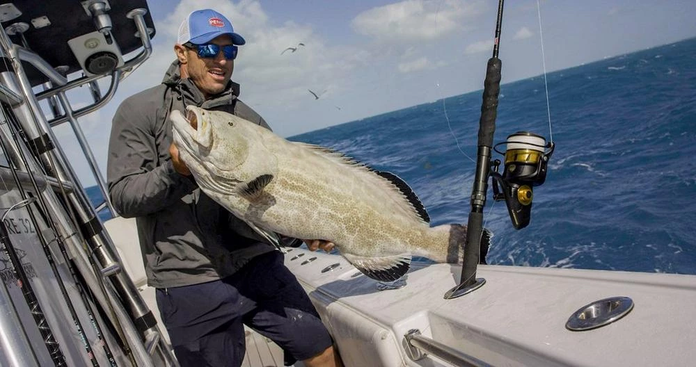 Penn Spinfisher VI Spinning Reels 22 Penn Spinfisher VI Spinning Reels