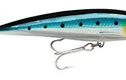 Rapala X-Rap Saltwater Fishing Lure