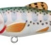 Live Target Trout Fry & Parr Lures 1 Live Target Trout Fry & Parr Lures
