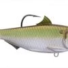 Live Target Threadfin Shad