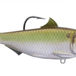 Live Target Threadfin Shad