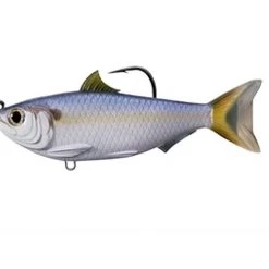 Live Target Threadfin Shad