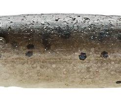 Lures Z-Man Finesse Trd, 2.75", 0.3 Oz, Mud Minnow, 8 Pack