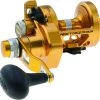 Penn TRQ15LD2 Torque Conventional Reel New Arrivals