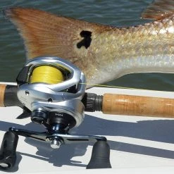 Shimano Tranx Baitcasting Reel New Arrivals