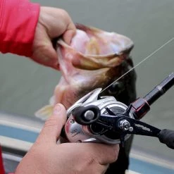 Shimano Tranx Baitcasting Reel New Arrivals