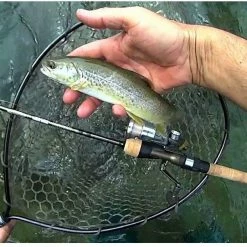 St. Croix Trout Series Spinning Rods