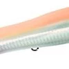 Lures Tsunami Talkin Pencil Popper 5'' Sandeel Tan Lure 1 3/8oz