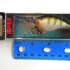 Lures Rapala Balsa Trolls To 10 Bass Pike Lure TTS-10 Shad Diver NIB Yellow Perch YP 1 Lures Rapala Balsa Trolls To 10 Bass Pike Lure TTS-10 Shad Diver NIB Yellow Perch YP