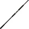 Shakespeare Ugly Stik Bigwater Spinning Surf Rod