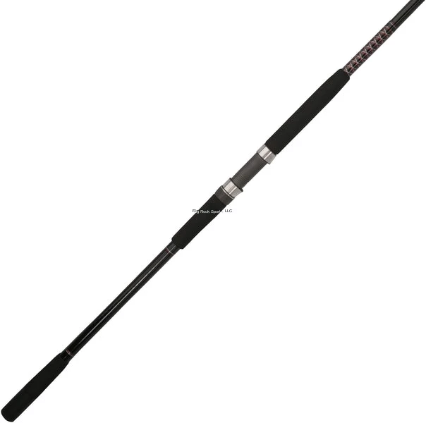 Shakespeare Ugly Stik Bigwater Spinning Surf Rod 3 Shakespeare Ugly Stik Bigwater Spinning Surf Rod