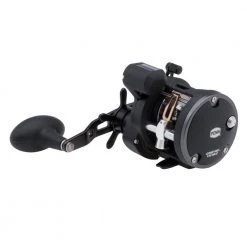 Penn Warfare Level Wind Counter Reel New Arrivals