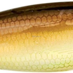 Lures Heddon Swim'n Image Shallow Crankbait, 3", 7/16 Oz, Redfish, Floating