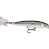 Rapala X-Rap XR-8 Suspending Jerkbait Minnow Lure Fry Smolt Baby Rainbow Trout