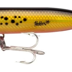 Lures Heddon Saltwater Super Spook, 5", 1 Oz, Bunker, Floating