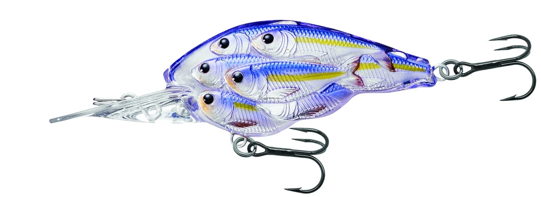 Live Target Lures LiveTarget BaitBall Yearling Crankbait, 2 3/8" 6 Live Target Lures LiveTarget BaitBall Yearling Crankbait, 2 3/8"
