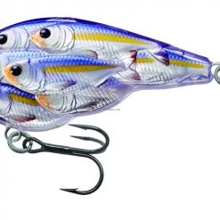 Live Target Lures LiveTarget BaitBall Yearling Crankbait, 2 3/8" 8 Live Target Lures LiveTarget BaitBall Yearling Crankbait, 2 3/8