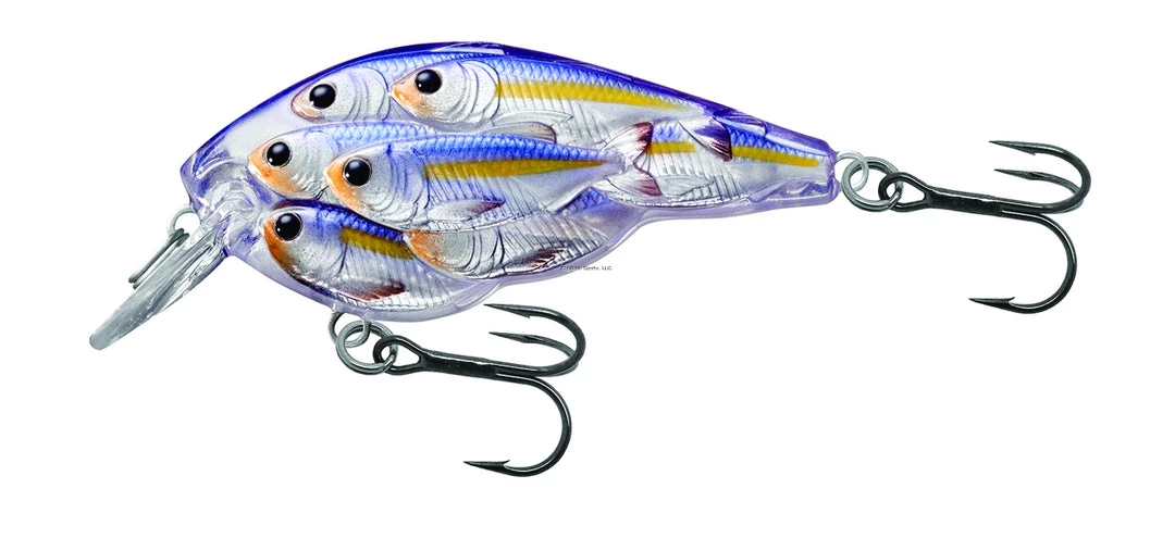 Live Target Lures LiveTarget BaitBall Yearling Crankbait, 2 3/8" 5 Live Target Lures LiveTarget BaitBall Yearling Crankbait, 2 3/8"
